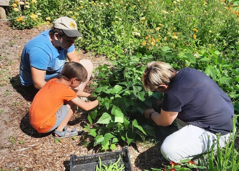 Samentuin Vier-O-Tuin op domein Ter Dreve